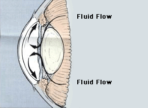Normal Fluid Outflow